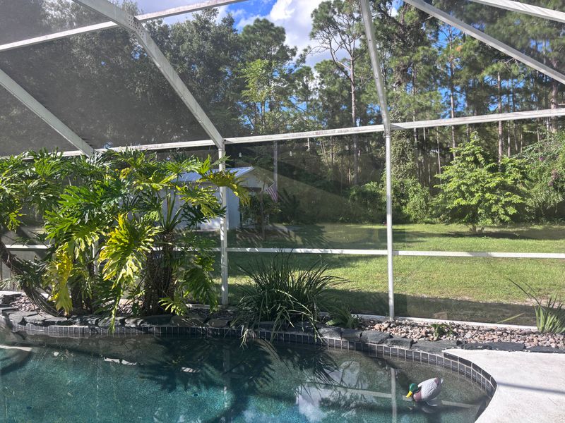 Irrigation services