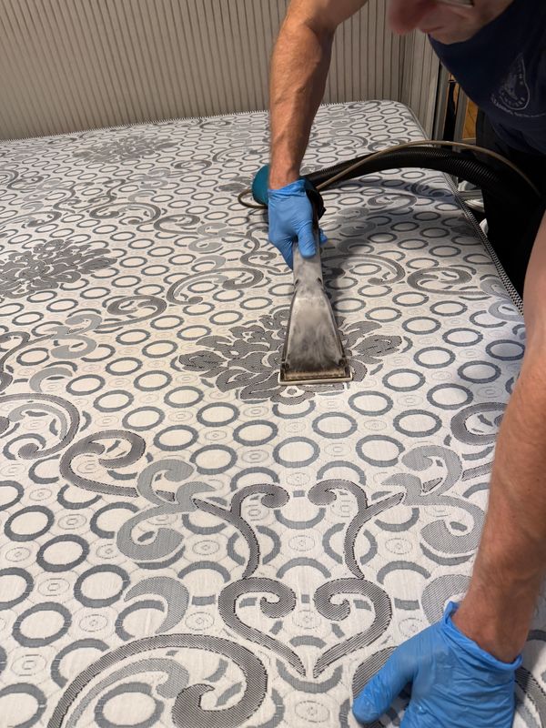 Upholstery Cleaning