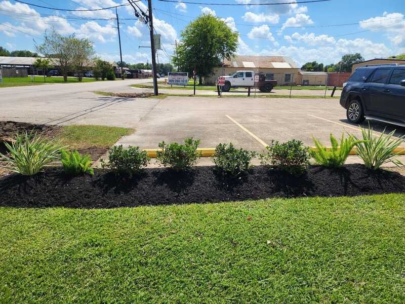 Mulch Installation