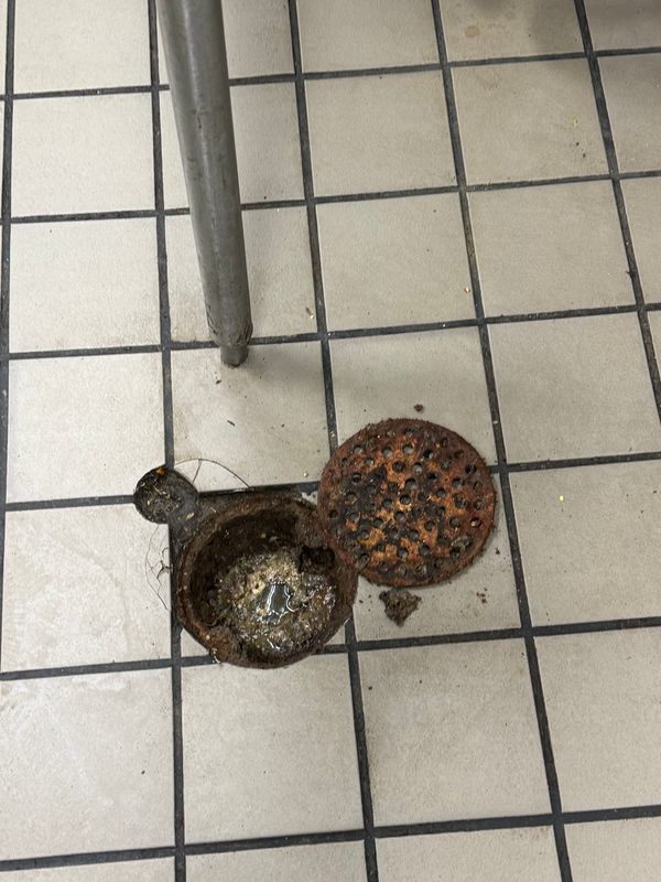 Commercial Pest Control 