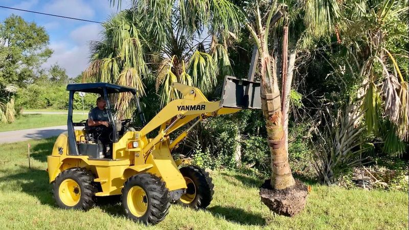 Tree and Shrub Care