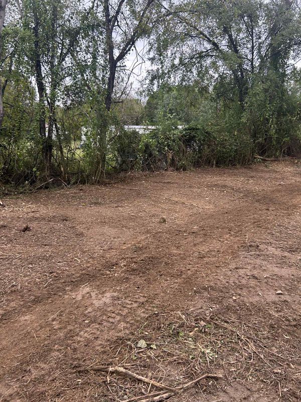 Land Clearing