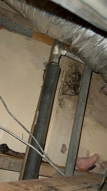 Mold Remediation gallery