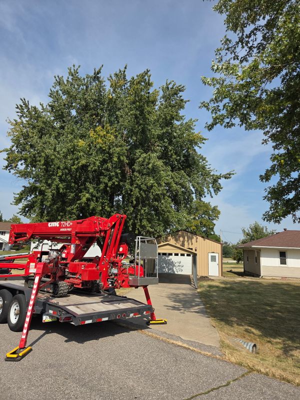 Tree Trimming
