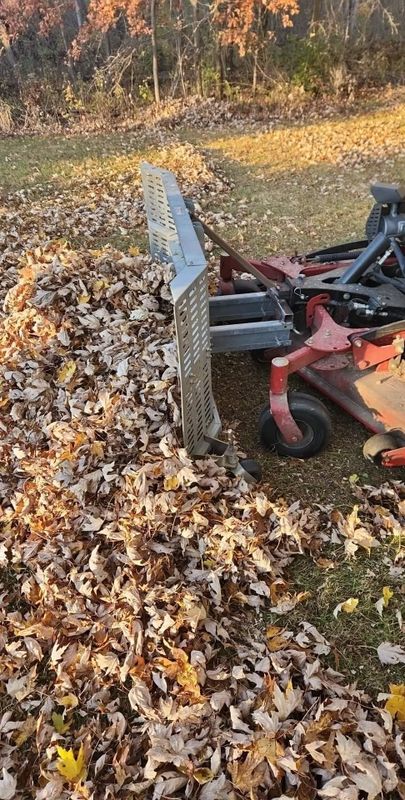 Fall Clean Up