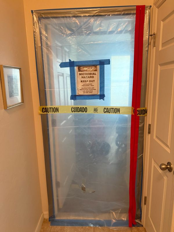 Mold Remediation