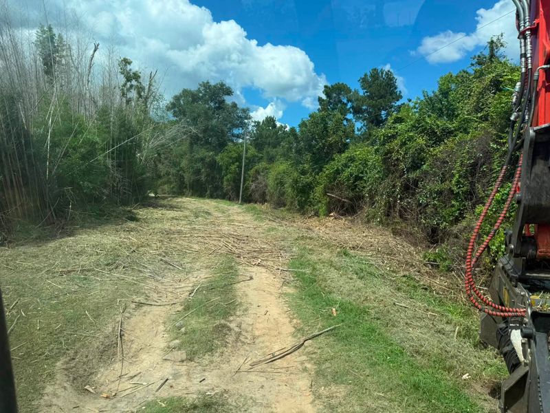 Land Clearing