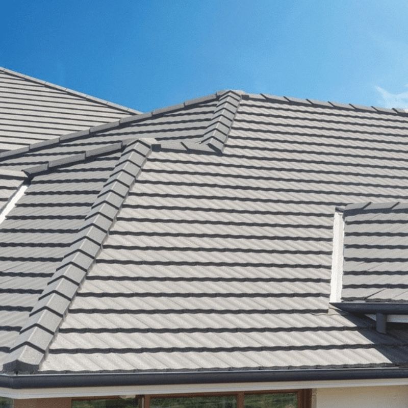 Roof Cleaning