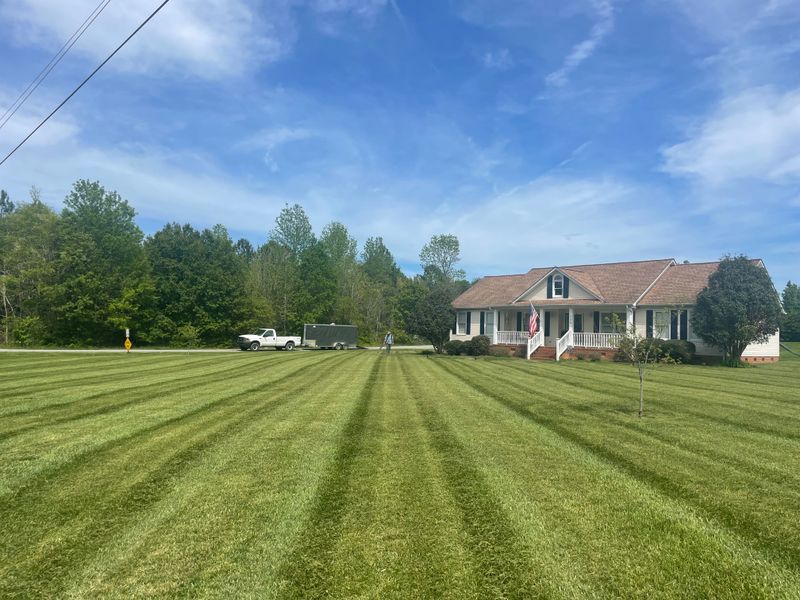 Lawn Maintenance
