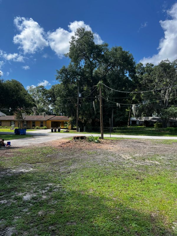 Tree Removal gallery