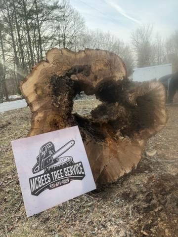 Tree Removal