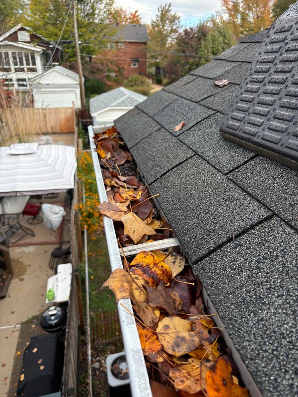 Gutter Guard Protection