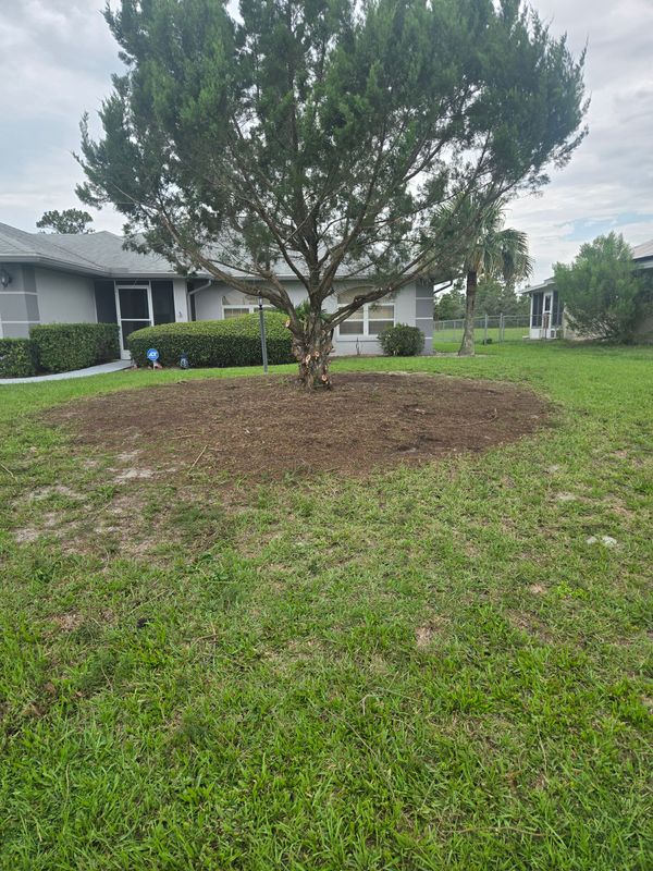 Tree and Hedge Care