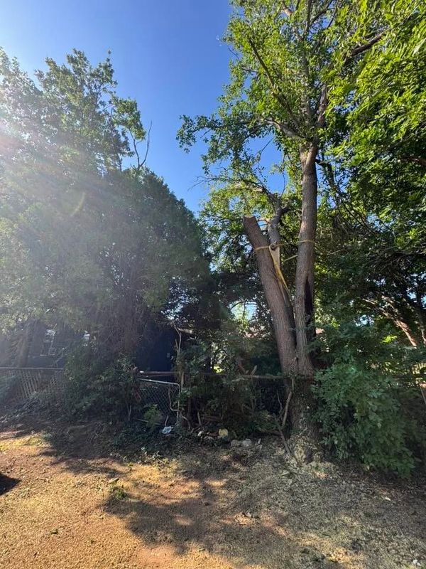 Land Clearing
