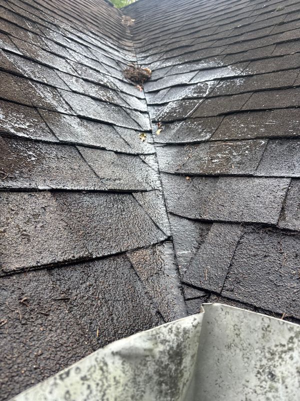 Roof Cleaning