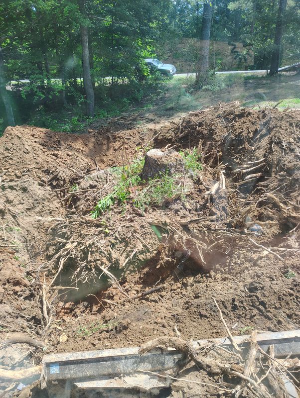 Stump Removal