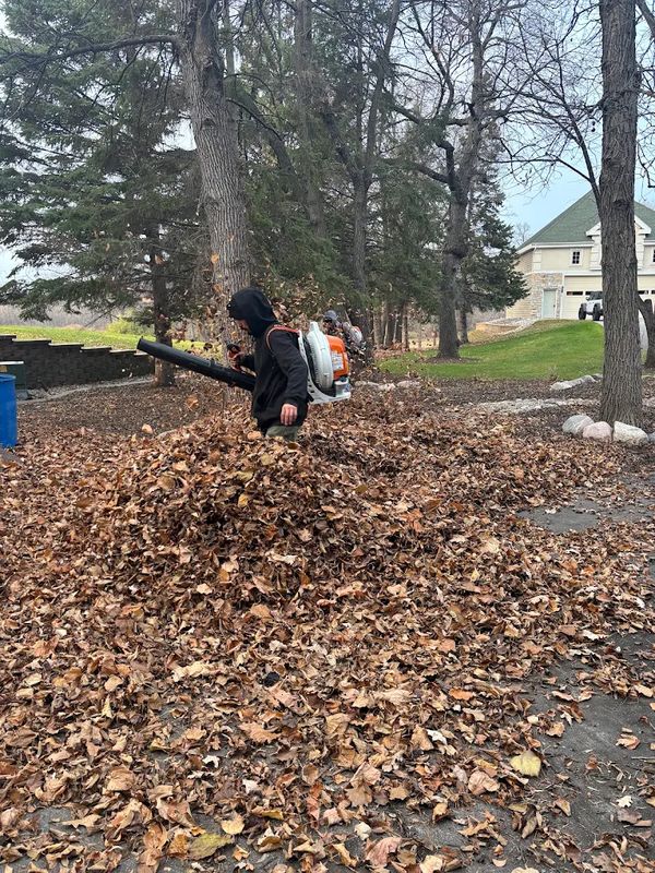 Seasonal Property Cleanups