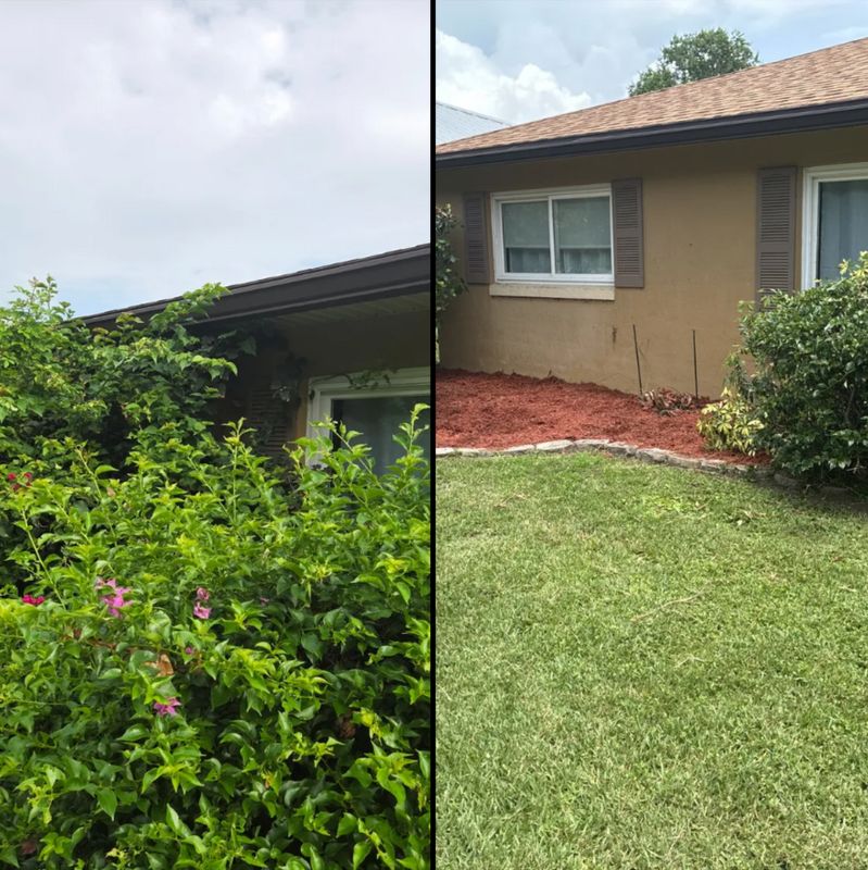 Tree and Hedge Care