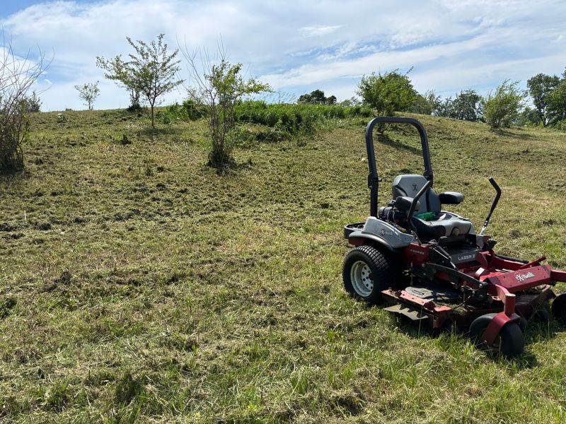 Landscaping