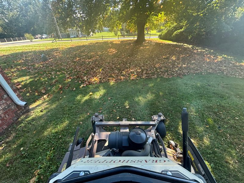 Fall Clean Up