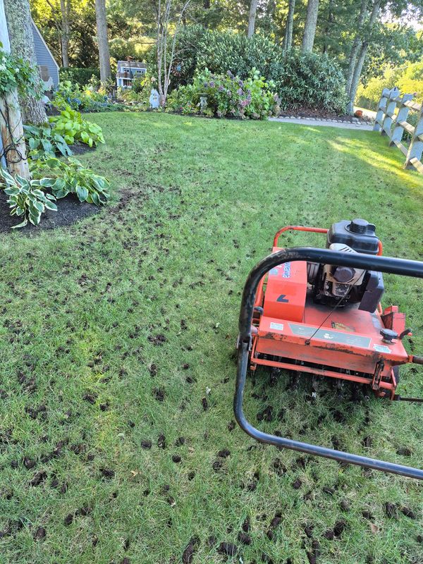 Lawn Maintenance