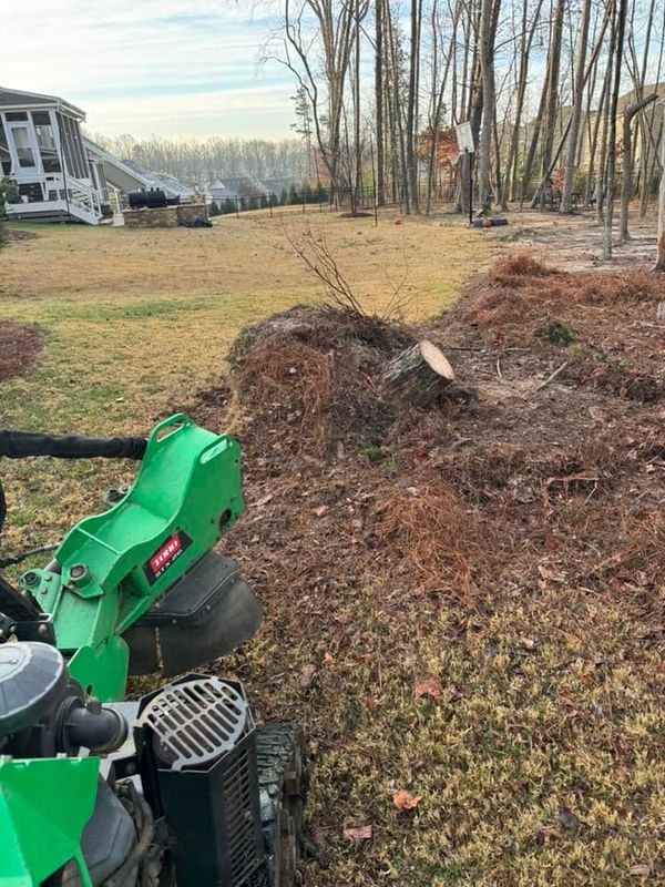 Stump Removal