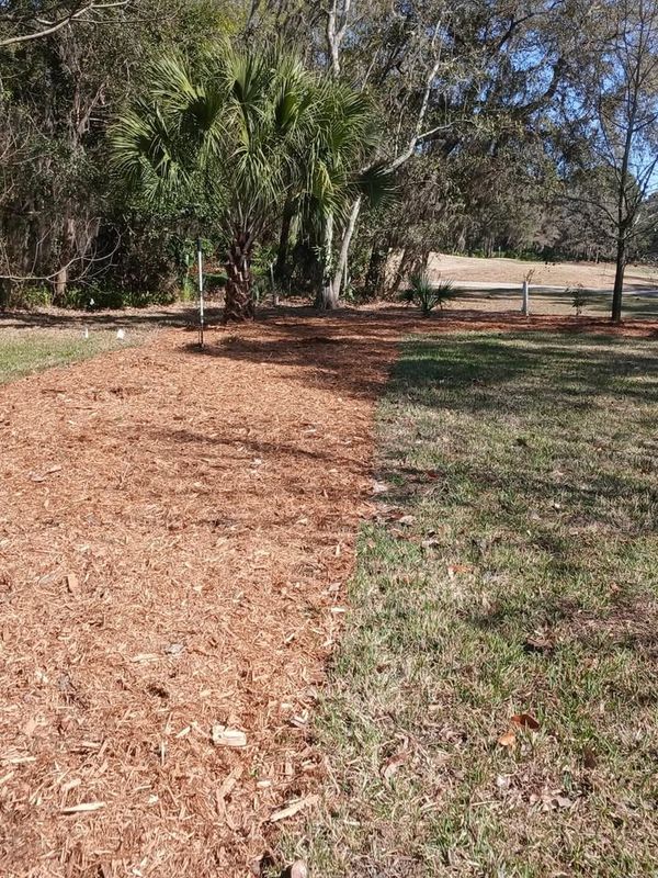Mulch Installation