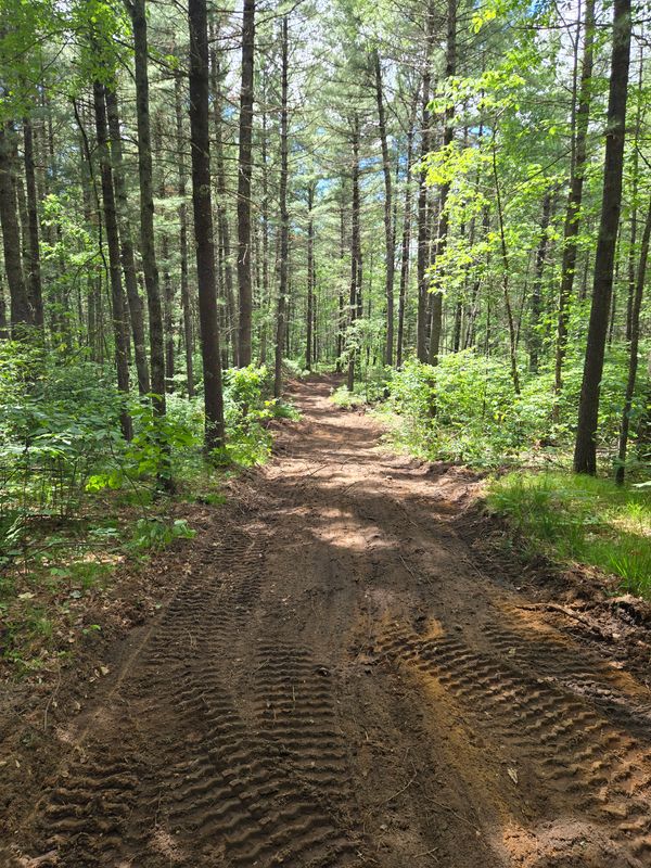 Road Building