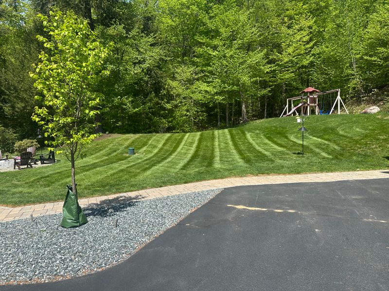 Hardscape Installation