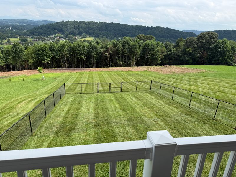 Lawn Maintenance