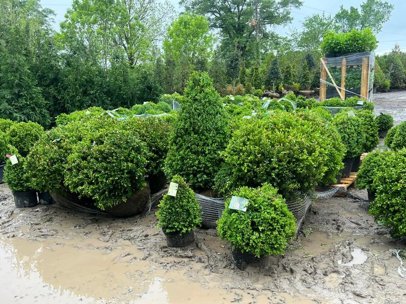Landscaping gallery