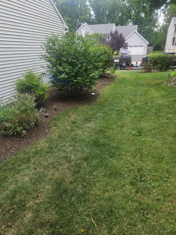 Lawn Maintenance
