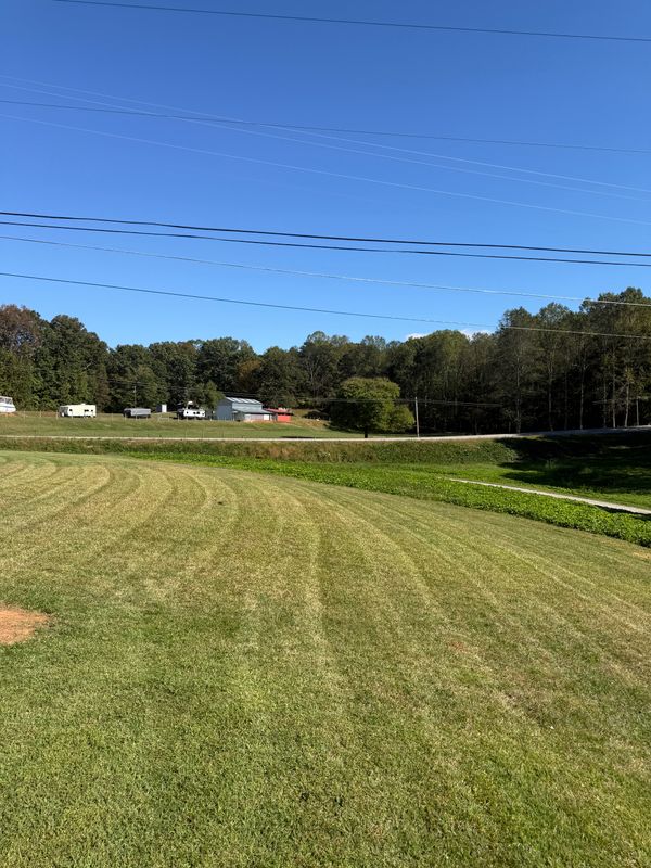 Lawn Maintenance