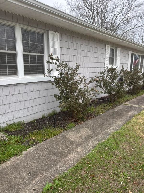 Plant & Shrub Installations