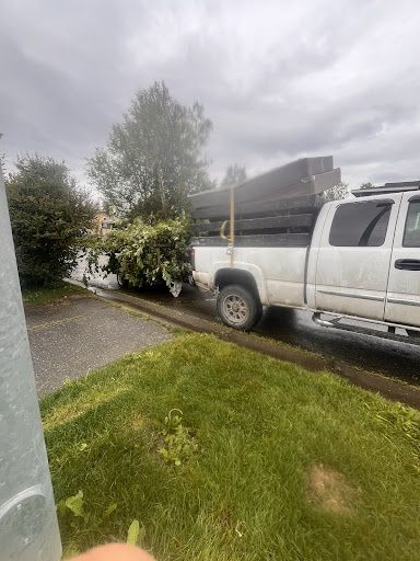 Yard Waste Removal