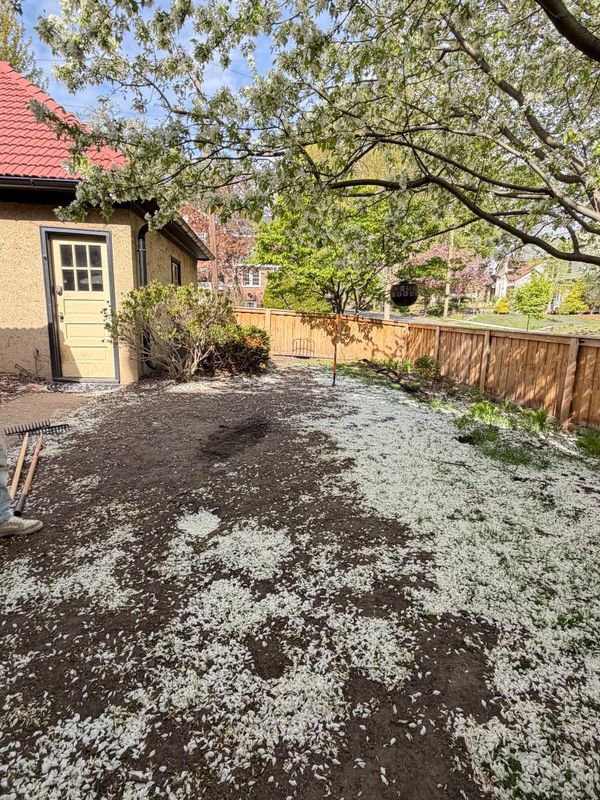 Mulching