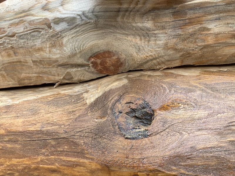 Log Home Restoration