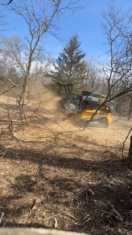 Forestry Mulching