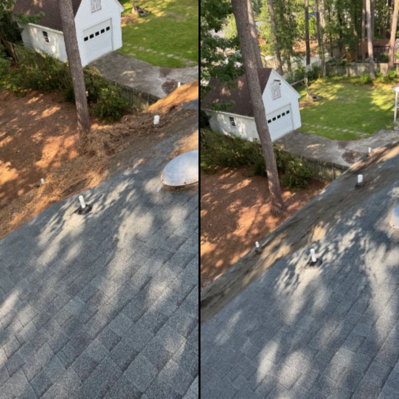 Revitalize Your Home: Stunning Roof Transformation with Expert Soft Washing Services