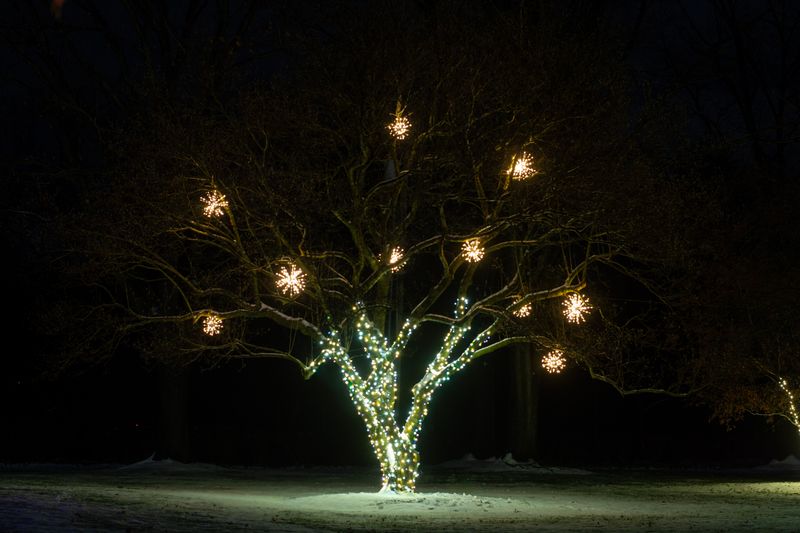 Holiday Lighting