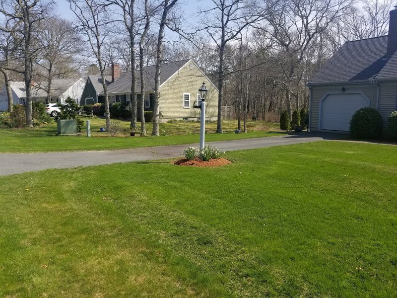 Lawn Maintenance