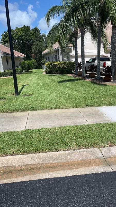 Lawn Maintenance