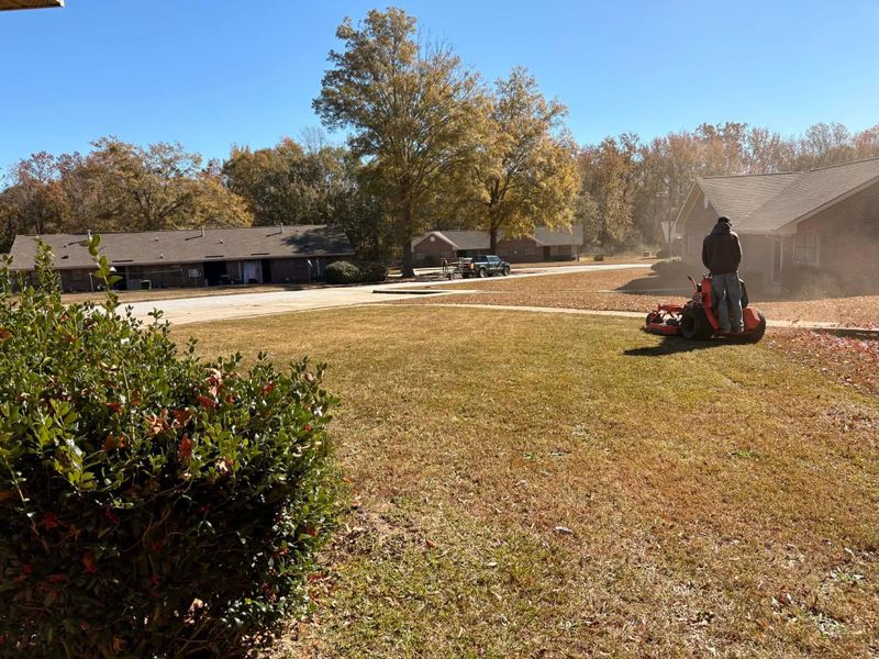 Fall Clean Up