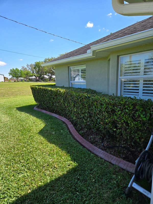 Lawn Care & Maintenance