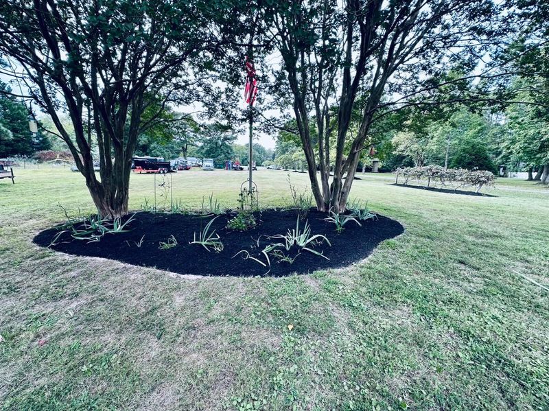 Mulch Installation