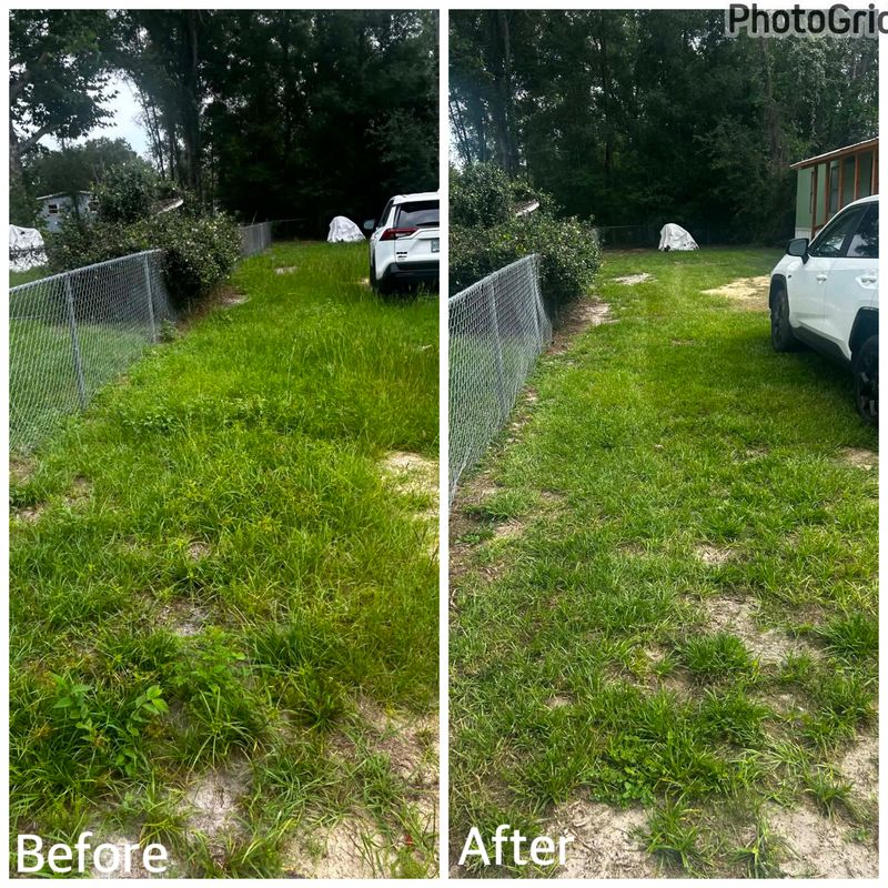 Before & After