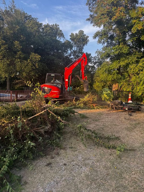 Land Clearing and Vegetation Removal