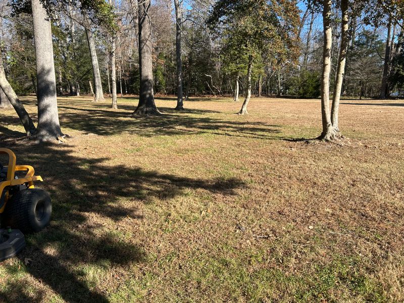 Leaf Removal  gallery