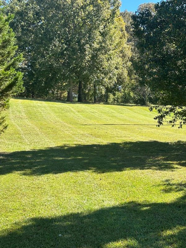 Landscape Design