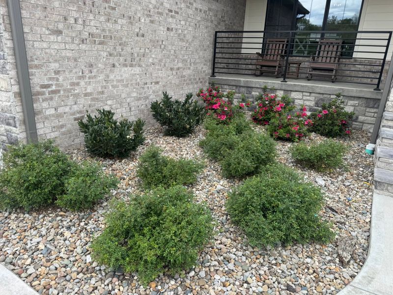 Garden Designs